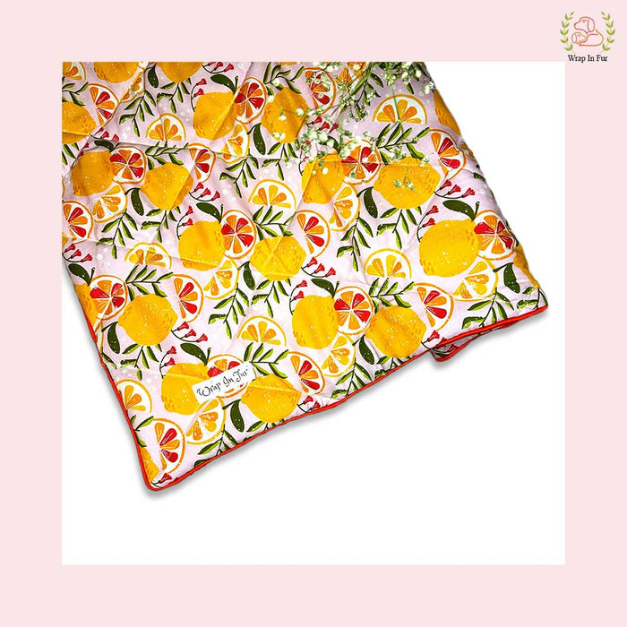 tangy Ac blanket for dogs