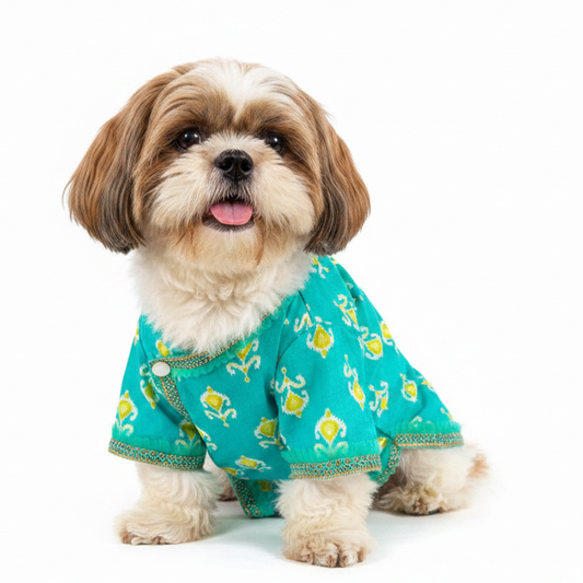 Teal Green Angarkha Dog Kurta - Premium Indian Dog Ethnic Wear