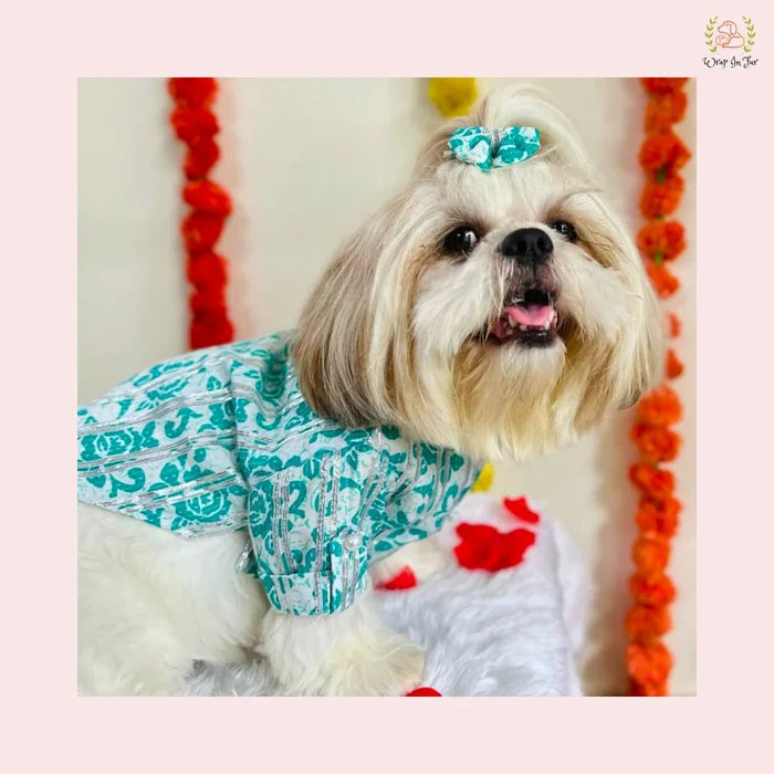 Teal & White Floral Dog Kurta - Traditional Indian Dog Ethnic Wear
