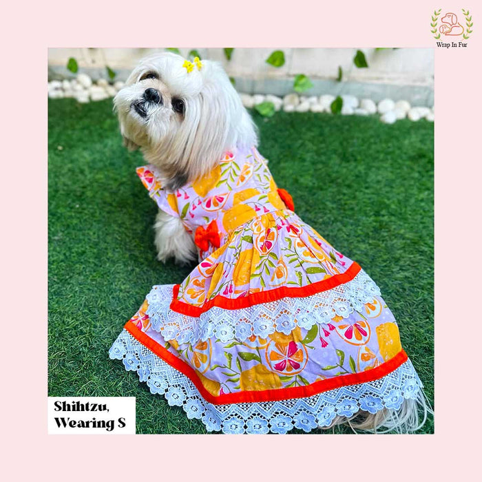 Tropical Citrus Print Dog Princess Dress - Lace Trim Summer Frock
