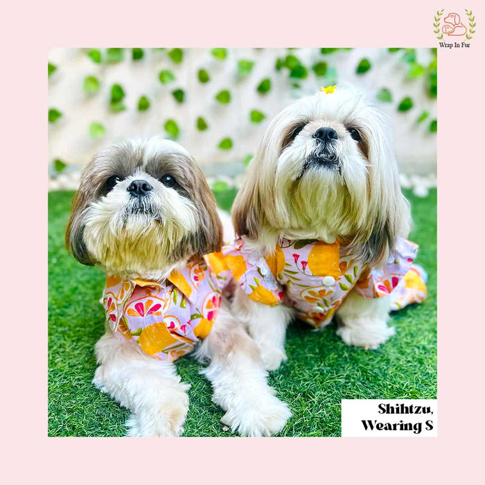 Tropical Citrus Print Dog Princess Dress - Lace Trim Summer Frock