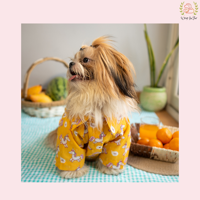 Magic Dog Shirt