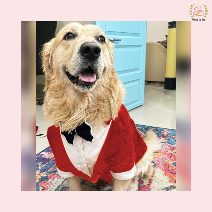 Vibrant Red Sequin Dog Tuxedo Jacket - Festive Formal Suit