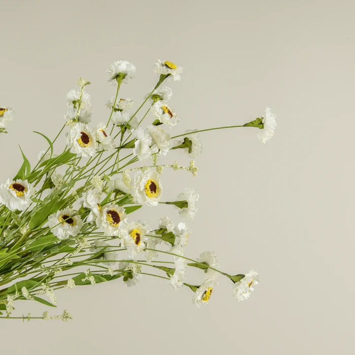 White Paper Daisy Bush Stem 22"