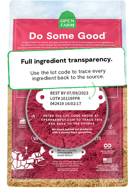 Wild-Caught Salmon Grain Free Dog Food