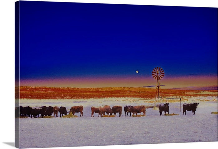 Windmill and Cows Night Feed Canvas Print