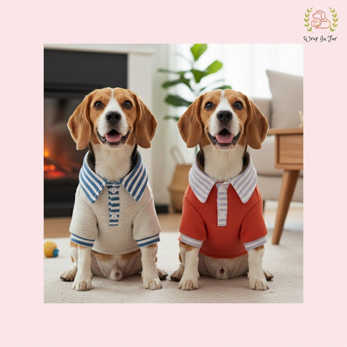 Winter Dog Polo Sweater – Ultra Soft, Breathable & Warm Outfit for All Breeds