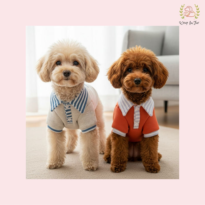 Winter Dog Polo Sweater – Ultra Soft, Breathable & Warm Outfit for All Breeds