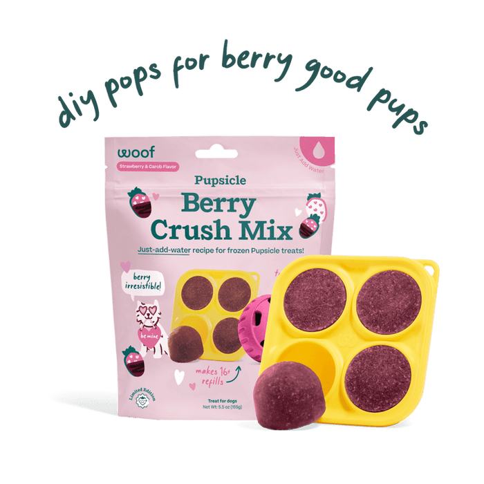 Woof Pupsicle Treat Mix Berry Crush