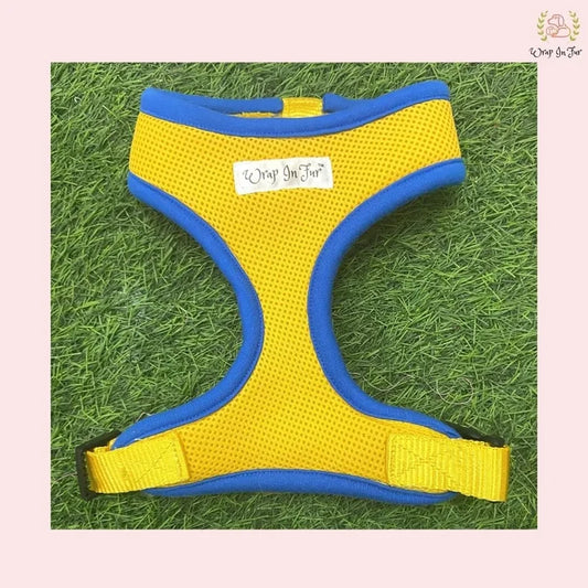 yellow blue dog harness