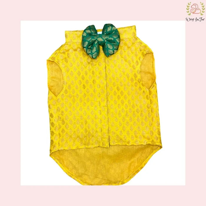 Yellow Dog Sherwani for Wedding
