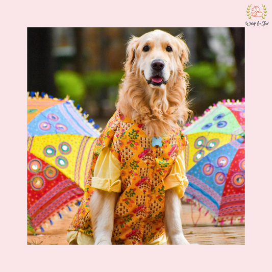 Yellow Floral Printed Dog Jacket Kurta Set - Indian Dog Ethnic Wear