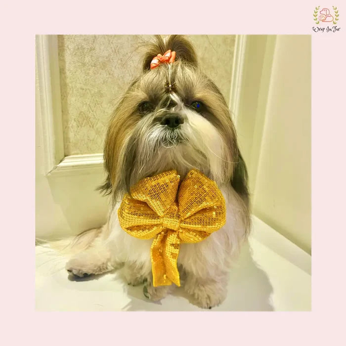 Yellow Gold Sequin Dog Bow