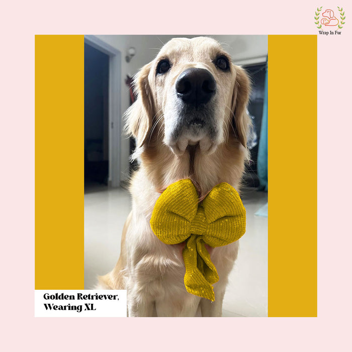Yellow Gold Sequin Dog Bow