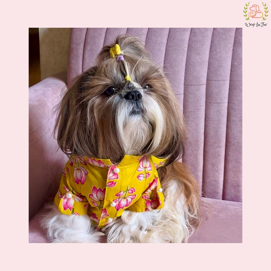 Yellow Lotus Desi Dog Kurta