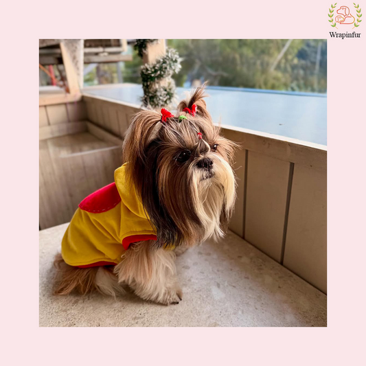 Yellow Love Sweatshirt – Warm & Stylish Pet Hoodie