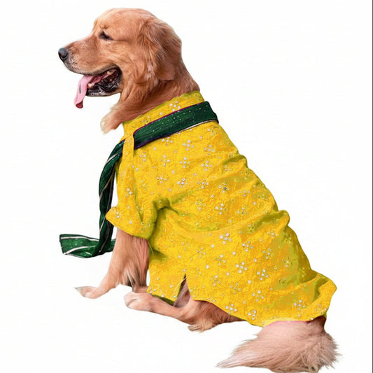 Yellow Mirror Work Dog Kurta with Green Dupatta