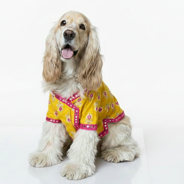 Yellow & Pink Dog Angarkha Kurta