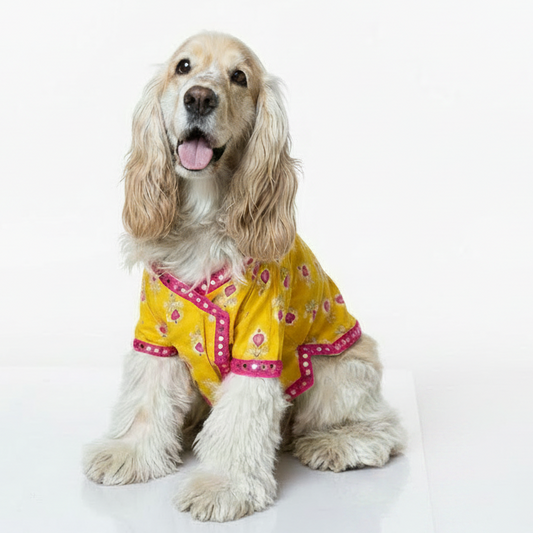 Yellow & Pink Dog Angarkha Kurta