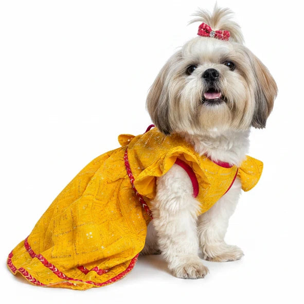Yellow Pink Dog Lehenga Choli | Dog Wedding Dress Outfit